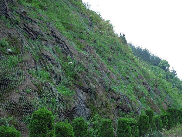 綠化勾花圍欄網(wǎng)